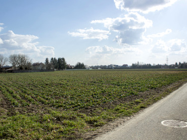 Działka budowlana Studzian