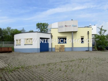 Lokal Będzin wynajem