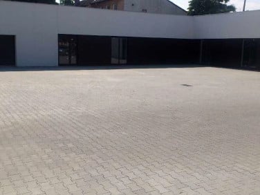 Lokal Elbląg