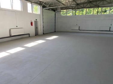 Lokal Elbląg