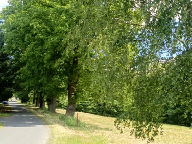 Działka w górach