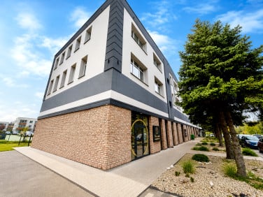 Lokal Katowice