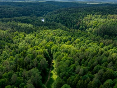 Działka budowlana Spała