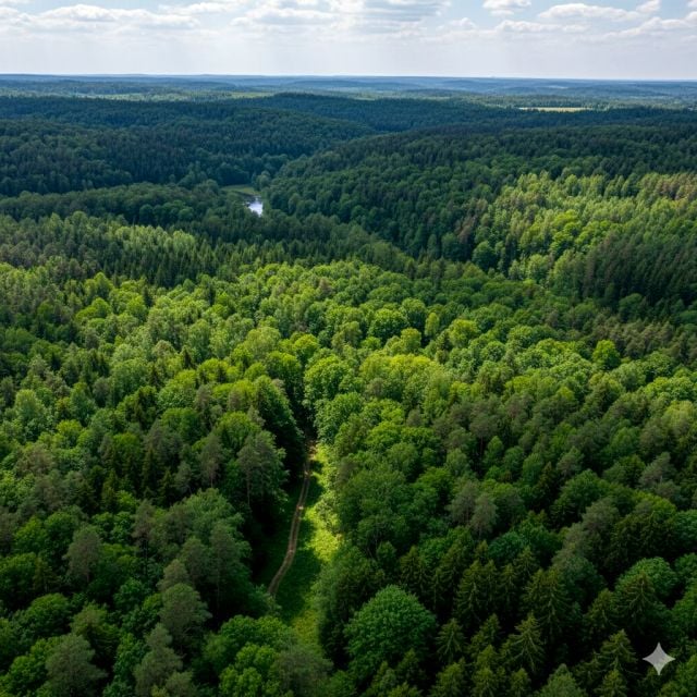 Działka budowlana Spała