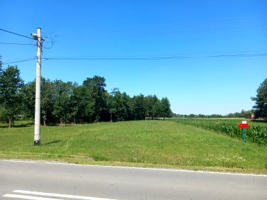 Działka budowlana Wola Szczucińska
