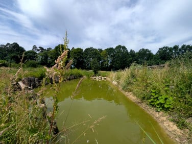 Działka inna Wałdowo Królewskie