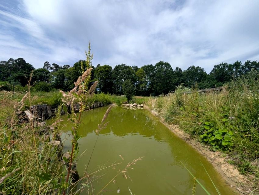 Działka inna Wałdowo Królewskie