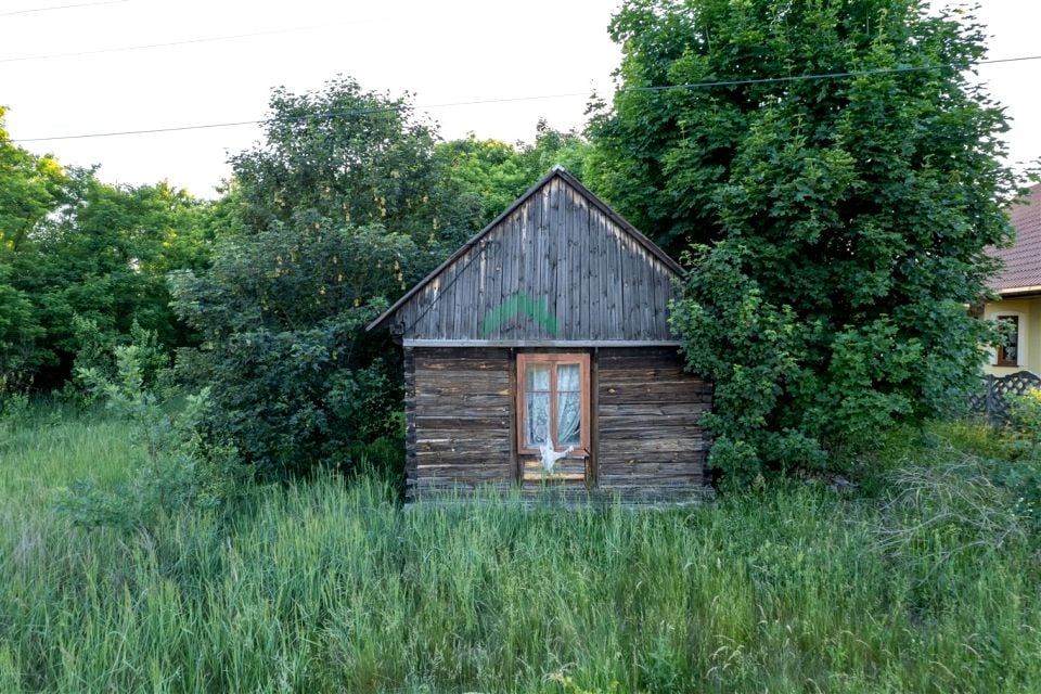 Zdjęcie 2