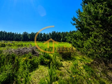 Działka Nowy Dwór Wejherowski