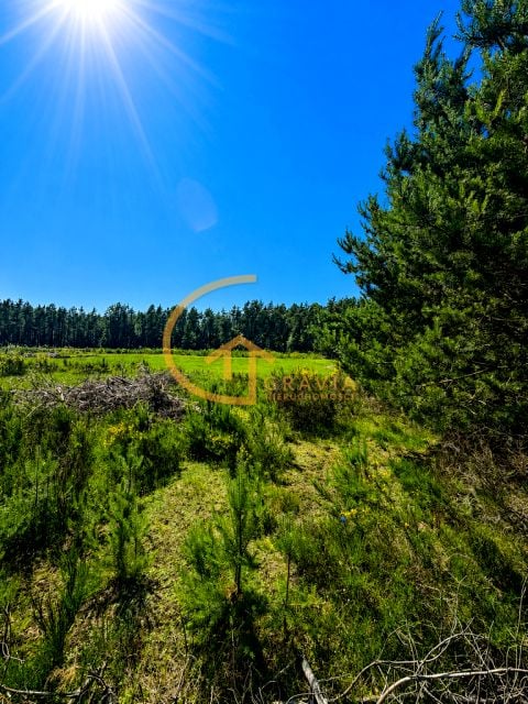 Działka Nowy Dwór Wejherowski