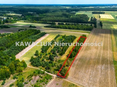 Działka leśna Obarzanków-Strugi