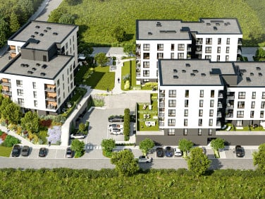 Sosnovia