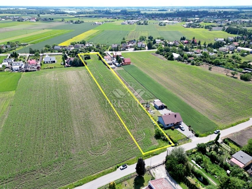 Zdjęcie 3