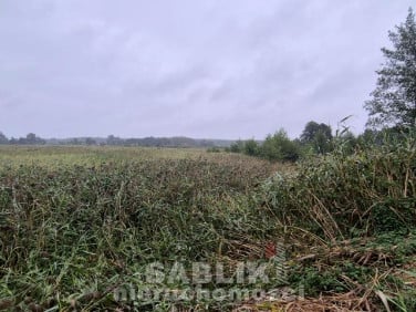 Działka inna Kuźnia Goszczańska