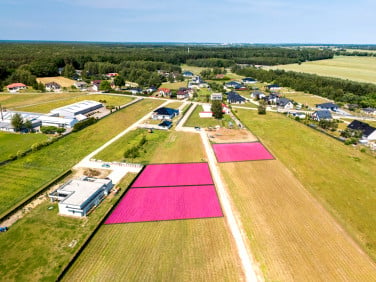 Działka Orzechówek