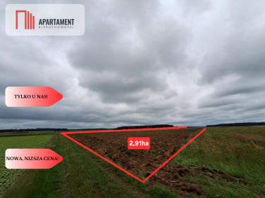 Działka Pławno