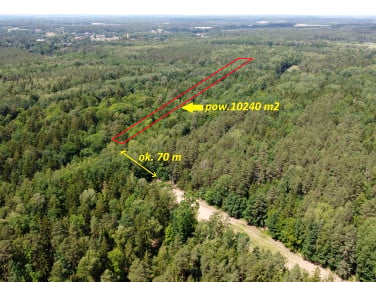 Działka leśna Niewodnica Kościelna