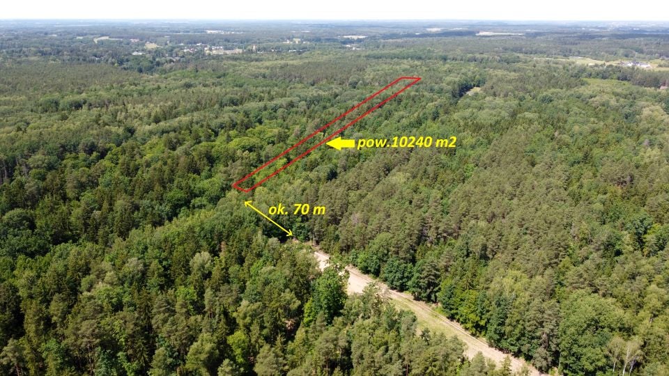 Działka leśna Niewodnica Kościelna