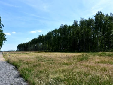 Działka WIDEŁKA