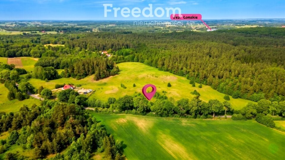 Działka przy lesie