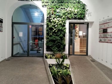 Lokal Wrocław