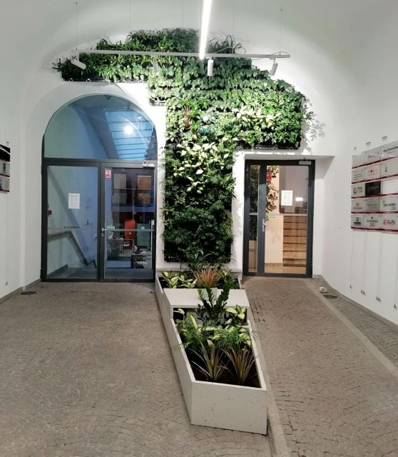 Lokal Wrocław