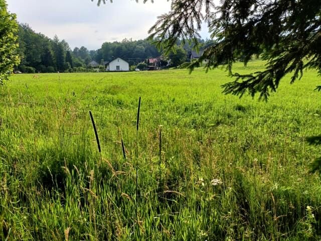 Działka budowlana Orzechówka