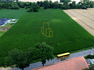 Działka przy lesie