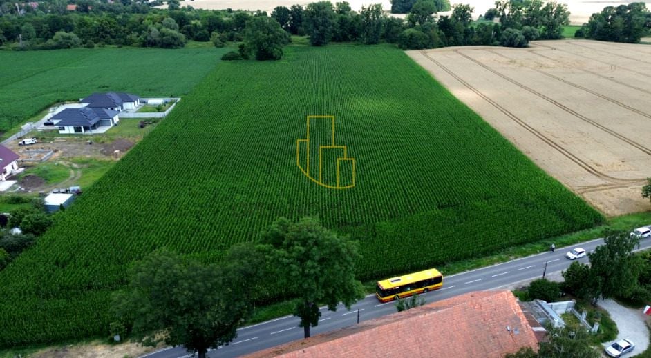 Działka przy lesie