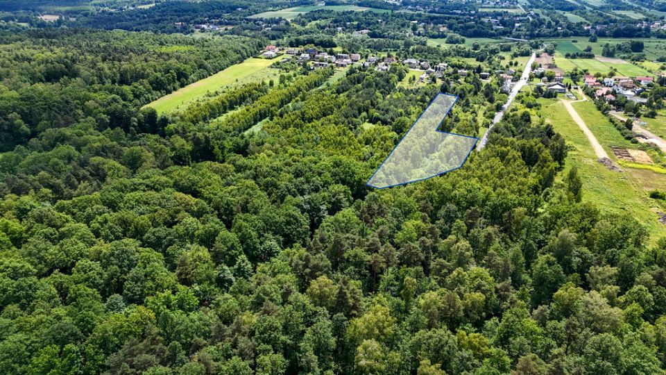 Zdjęcie 3