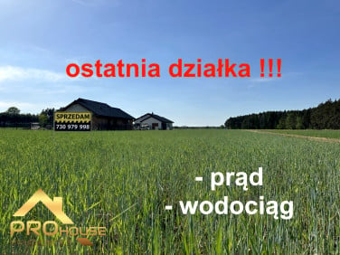 Działka przy lesie