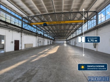 Budynek użytkowy Katowice