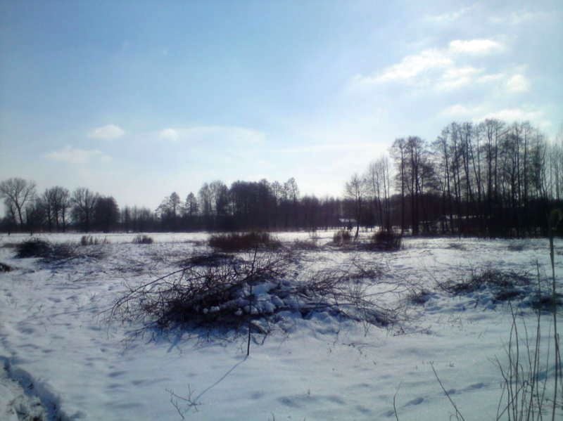 Działka rolna Bieganów