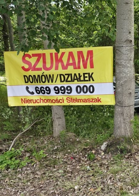 Zalesiona działka Wiązowna