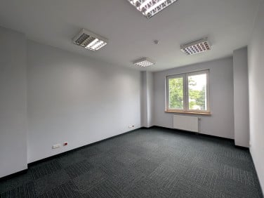 Lokal Szczecin