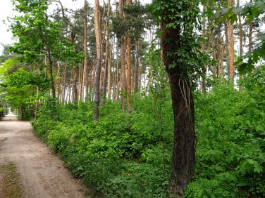 Działka budowlana Warszawa