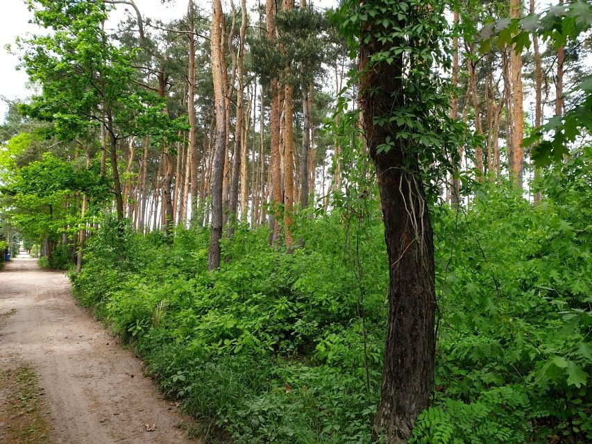 Działka budowlana Warszawa