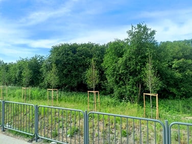 Działka Krasnystaw