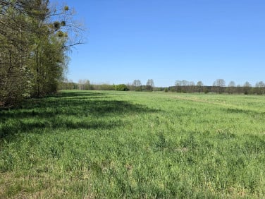 Działka Skaratki