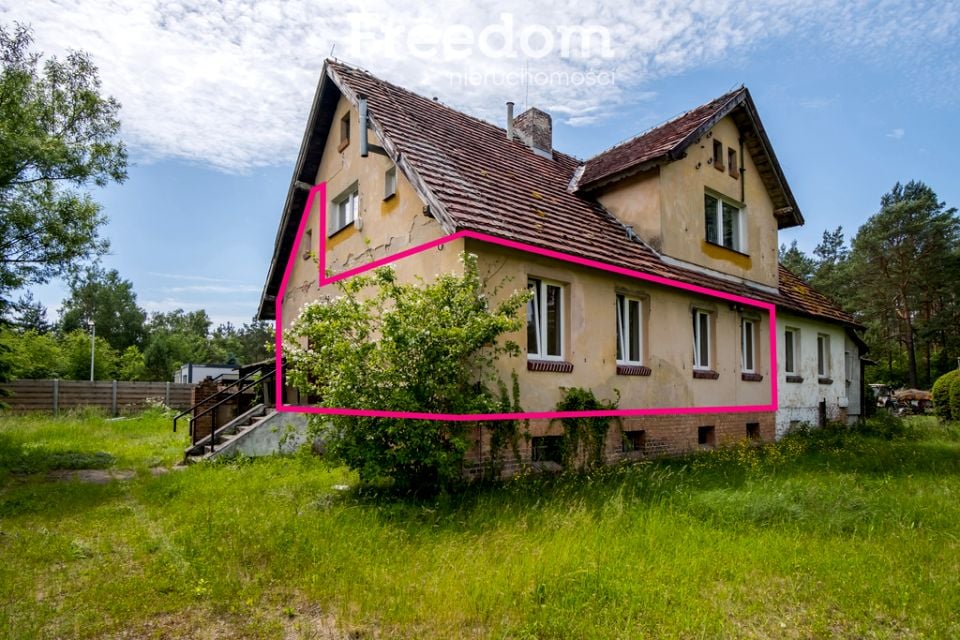 Zdjęcie 3