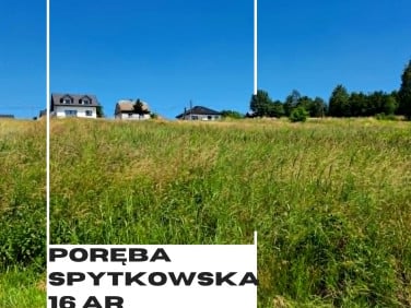 Działka przy lesie
