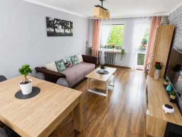 Mieszkanie Zielona Góra sprzedaż