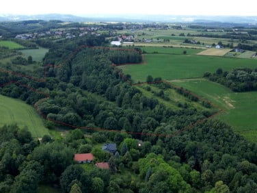 Działka Rybna