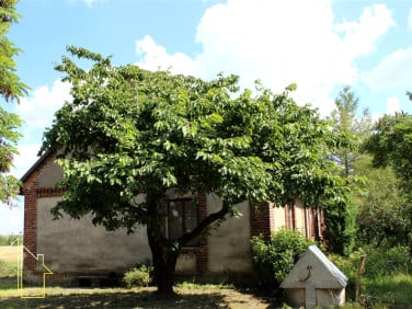 Dom Gąbin
