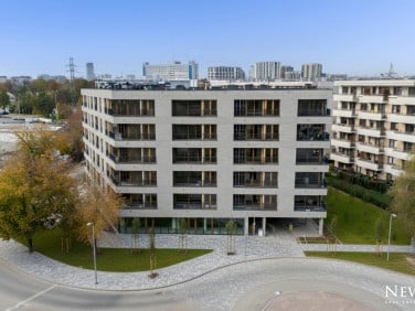 Lokal Kraków wynajem