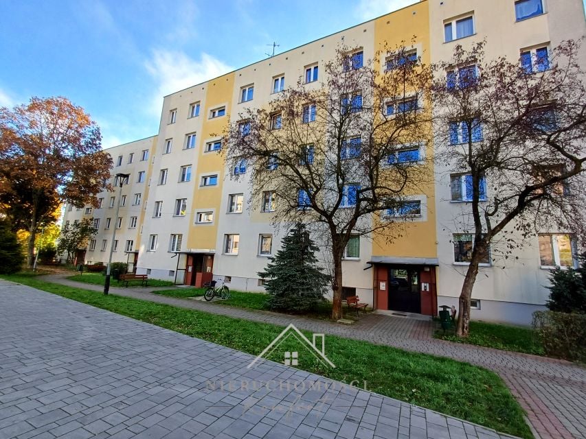 Zdjęcie 2