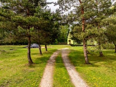 Dom Wrzępia