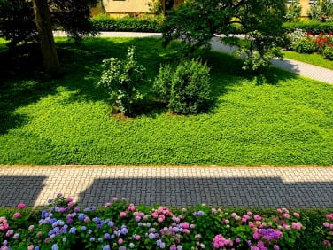 Mieszkanie Kraków