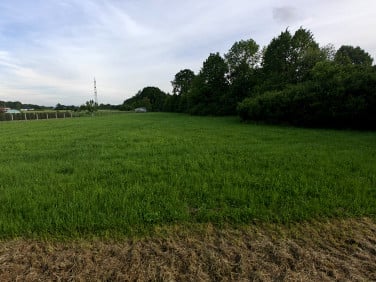 Działka budowlana Oświęcim