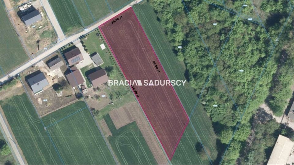 Zdjęcie 3